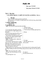 Giáo án Tổng hợp môn lớp 4 - Tuần dạy 19 (chuẩn kiến thức)