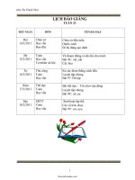 Giáo án Tổng hợp lớp 1 - Tuần 23 - Hứa Thị Thanh Thủy