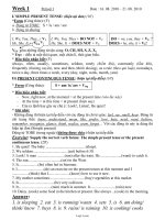 Bài soạn môn học Tiếng Anh lớp 11 - Period 1 đến period 35