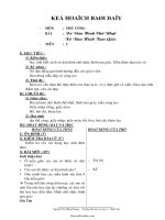 Giáo án Thủ công lớp 1 - Tiết 2 - Xé Dán Hình Chữ Nhật Xé Dán Hình Tam Giác - Nguyễn Thị Hồng Nhung - Trường tiểu học An Lạc 3 – Bình Tân