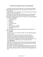 9 NGUYÊN TẮC HỌC TẬP CỦA NGƯỜI LỚN