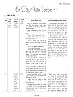 Giáo án môn Ngữ văn khối 11 - Ôn tập cuối năm