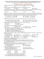 đề ôn tập tại nhà môn sinh học lớp 12 trong thời gian