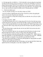 Câu hỏi ôn tập môn Giáo dục công dân 11