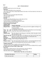 Kế hoạch bài dạy Te bao nhan so