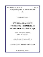 đánh giá chẩn đoán và điều trị nhiễm khuẩn đƣờng tiết niệu phức tạp 