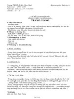 Giáo án môn Ngữ văn lớp 11 - Tràng giang