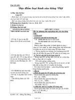 Giáo án môn Ngữ văn khối 11 - Đặc điểm loại hình của Tiếng Việt