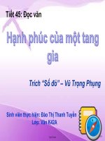 Giáo án môn Ngữ văn lớp 11 - Tiết 45: Hạnh phúc của một tang gia