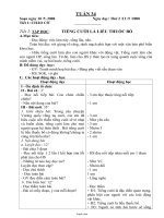 Giáo án giảng dạy các môn khối 4 - Tuần 34