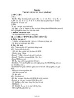 Giáo án Tập đọc Lớp 4 - Tuần 16 - Trong quán ăn 