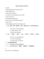 Đề cương ôn tập môn Tin học 7 kì 2