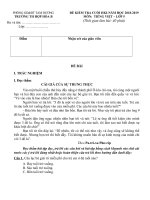 Đề thi kiểm tra định kỳ cuối HKI- Tiếng Việt 5 - Năm học 2018-2019