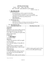 Giáo án lớp 4 môn Khoa học - Bài: Ôn tập: Con người và sức khoẻ