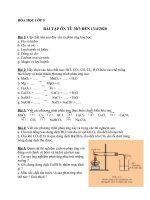 ôn tập tt thcs thông tây hội