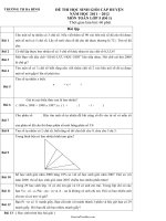 Đề Thi Học Sinh Giỏi Cấp Huyện Môn Toán Lớp 5 Trường TH Ba Đình