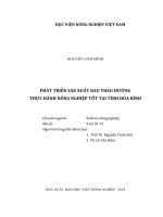 Phát triển sản xuất rau theo hướng thực hành nông nghiệp tốt tại tỉnh hòa bình  luận án tiến sĩ  kinh tế nông nghiệp 9 62 01 15 