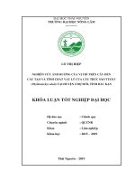 Luận văn tốt nghiệp nghiên cứu ảnh hưởng của vị trí trên cây đến cấu tạo và tính chất vật lý của cây trúc sào tuổi 5 