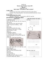 Giáo án lớp 2 - Tuần 33