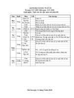 Giáo án tuần 22. covid 19.Thúy