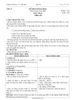 Giáo án Địa lý lớp 5 - Tiết 22: Châu Âu - Trương Tiến Đạt - Trường Tiểu học 