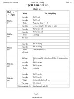 Giáo án Tổng hợp môn lớp 1 - Tuần học 21 - Trường TH Lê Văn Tám