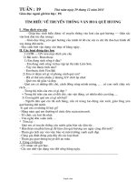 Giáo án Tổng hợp môn học lớp 4 - Tuần số 19 năm học 2011