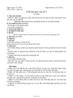 Giáo án môn Ngữ văn khối 11 - Viết bài làm văn số 5