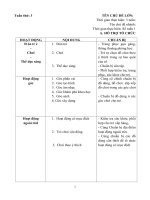 Giáo an phối kết hợp tổ chức hoạt động tuần 3 (5-6 tuổi A1)