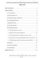 Sáng kiến kinh nghiệm Giúp học sinh nắm vững kiến thức từ loại (Phần Danh từ, Động từ, Tính từ) trong môn Tiếng Việt lớp 4 .