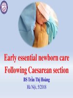 Ngân hàng sữa mẹ đà nẵng_Tiếng Anh