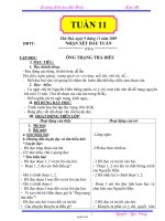 Giáo án Lớp 4 Tuần 11 - GV: Nguyễn Ngọc Dung