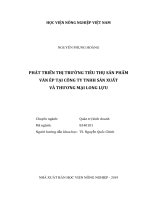 Phát triển thị trường tiêu thụ sản phẩm ván ép tại công ty tnhh sản xuất và thương mại long lựu   