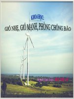 Giáo án điện tử- Khoa học lớp 4- Bài: Gió nhẹ, gió mạnh, phòng chống bão