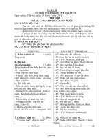 Giáo án môn Tiếng Việt 4 - Tuần số 12 năm 2013