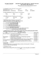 Hướng dẫn chấm và đáp án thi kiểm tra học kỳ môn Tiếng Anh HK 1 - lớp 11 - năm học 2018-2019