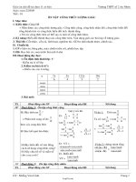 Giáo án chủ đề tự chọn 11 cơ bản - Trương THPT số 2 An Nhơn