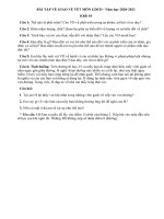 Bài tập nghỉ dịch và về tết 2021 - Khối 10