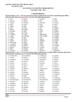 GRADE 10 - REVISION FOR THE FIRST TERM EXAM (2020-2021)