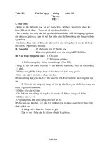 Thiết kế bài dạy lớp 4 - Tuần thứ 28