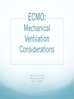 ECMO: Thông khí nhân tạo Những vấn đề quan tâm Kenneth Lyn-Kew, MD