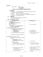 Giáo án Tập đọc 4 - Tiết 12: Con chuồn chuồn nước