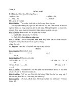 Bài tập tuần 8 - lớp 3