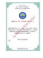 Luận văn kinh tế PHÂN TÍCH CÁC YẾU TỐ ẢNH HƯỞNG ĐẾN QUYẾT ĐỊNH MUA HÀNG TRỰC TUYẾN CỦA KHÁCH HÀNG NƯỚC NGOÀI