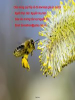 Giáo án Luyện từ và câu 4: Mở rộng vốn từ: Đồ chơi – Trò chơi