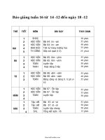 Bài soạn các môn lớp 1 - Tuần 16 năm học 2009