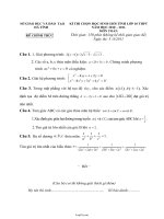 Đề và đáp án thi chọn học sinh giỏi tỉnh Hà Tĩnh lớp 10 THPT năm học 2010 – 2011 môn Toán