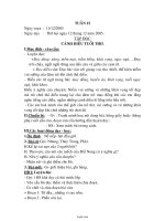 Thiết kế bài dạy các môn lớp 4 - Năm 2006 - 2007 - Tuần 15