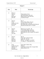 Thiết kế bài dạy các môn lớp 4 - Trường Tiểu Học Y Jút - Tuần 9