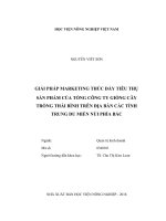 Giải pháp marketing thúc đẩy tiêu thụ sản phẩm của tổng công ty giống cây trồng thái bình trên địa bàn các tỉnh trung du miền núi phía bắc   